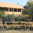 춤의정원 이미지