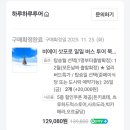 하루 | 삿포로 하루하루 투어 후기🌲🩵(+소소한 꿀팁)