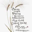 정다운일터 이미지