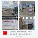 327 | 아시아나 OZ327 인천 톈진(천진) 탑승 후기 - 셀프체크인&amp;백드랍, 좌석, 기내식 등