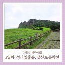 썬라이즈호텔 섭지코지점 | 제주 2박3일 여행 2일차 성산일출봉, 성산 해장국맛집, 성산포유람선