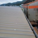 부산장림동우체국 화장실 | 부산 사하구 장림동 공장 지붕 판넬 누수 방수 시공