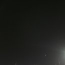 카페베네일산