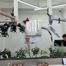 대전 둔산동 미용실 극손상모 복구매직 후기 [아이엠미헤어]