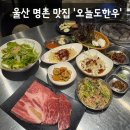 오늘식당 | [맛집] 울산 북구 명촌 한우 맛집 단체회식하기 좋은 룸식당 '오늘도한우' 내돈내산 솔직후기 (:
