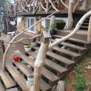 별바라기펜션 이미지