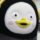 솝왁싱 이미지