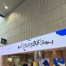 일광가죽공방루체 | 인테리어 덕후 갔다가 눈 돌아간 2026 서울디자인리빙페어 방문 후기 (feat. 초대권 무료로 받고 가는법)