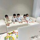 푸른초장어린이집 | [호랭이와 쌍둥이육아일기] D+913~919 인천 안미미네 집들이♥ 공동육아는 짜릿해!