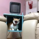 한고 이미지