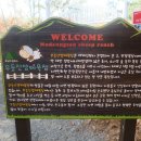 안양목장 | 무등산 양떼목장 다녀왔어요