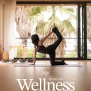 스텝박스 | 오붓 패스 강남 요가 선릉 하라요가 압구정 팝핏 스텝박스 예약 후기, 할인 초대코드 11Z4KES5