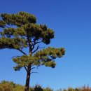 희망만드는사람들 이미지