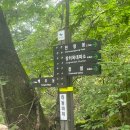 백무산장황토방펜션 | ⛰️지리산 (백무동~중산리)