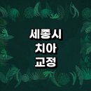 세종시 치아교정 잘하는 전문치과 병원 추천 | 비용 후기 설측교정 돌출입 앞니 투명 무턱 부분 교정기...