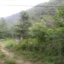 내곡동700 이미지