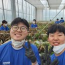 종원농장 이미지