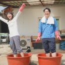 살림박사
