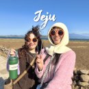 나올레3 | 제주 가파도 올레길 소요시간 짧고 쉬움, 엄마와 걸은 후기