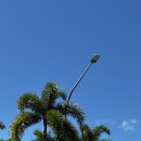 경원팜 | CRN/BNE 케언즈/브리즈번