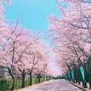 승리 태권도장 이미지