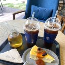 예이제448 이미지