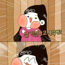 김밥나라 이미지