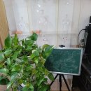 평화지압원 이미지