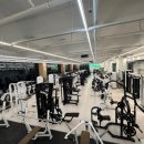 바바휘트니스 이미지