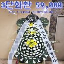 모레아갤러리
