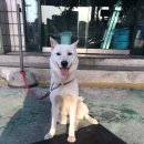 포유주유소 이미지