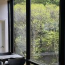 숲;카페 | [아산] 통창 숲 뷰 대형 베이커리 카페 | 배방숲카페 | 내돈내산 후기