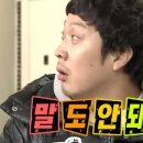 논산애견