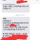 얘더라 쿠팡 로켓배송 이렇게 떠도 오늘 안올수도 있음? 이미지