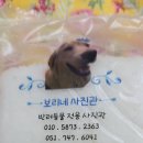 보리네사진관