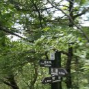 중앙초등학교후문 이미지