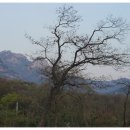 사마리안하우스 이미지