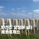 리치망고월정점 | 제주도 목화휴게소 반건조 오징어 하나에 가격부터 스토리가 가득