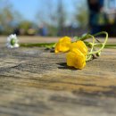 청구행정사사무소 이미지