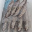 통영댁생선구이 이미지
