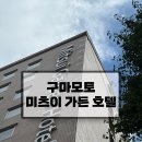 [구마모토] 미츠이 가든 호텔 구마모토 솔직 후기(스탠다드 더블베드, 룸컨디션, 조식, 뷰, 꿀팁)