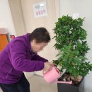 다온재가복지센터 | 심리 케어까지 함께하는 다온재가복지센터 거제 치매예방프로그램 특징은?