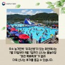 농가민박 이미지