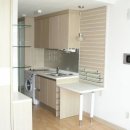 동양라디안루키 이미지