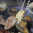 제주흑돈애 이미지