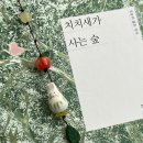 치치숲 | 치치새가 사는 숲 장진영 책 후기