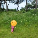 보리네숲어린이집 이미지