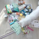 펫츄즈 | 궁디팡팡 캣페스타 고양이박람회 방문 후기 내돈내산 구매템 / 안산템 소개