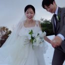 [W.Chou05] 이경호포토그라피 스튜디오 계약 후기 (feat.멜로필드, 아우드, 로그에이, 이경호 비교)