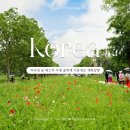 자라섬 꽃 페스타 가평 꽃축제 개화상황 입장료 주차 꿀팁